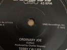 Terry Callier - Ordinary Joe / Maurice McAllister - Baby Hang On