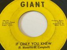 MIKE & RAY 'If Only You Knew' VG+ VERY RARE GIANT ARP stamped  Northern Soul 45