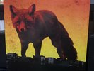 The Prodigy - The Day Is My Enemy - Vinyl Record Vinyl..