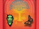 THE CHAMELEONS John Peel Sessions - 2LP / Vinyl (2014)