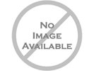 RIVAL SONS: FERAL ROOTS /ETCHED/ :LP vinyl *BRAND NEW*: