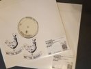 Pat The Bunny Test Pressing The Volatile Utopian Real Estate Market...