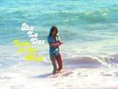 The Sha La Das - Love in the Wind NEW Sealed Vinyl LP Album