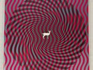 Deerhunter   Cryptograms / Flourescent Grey Double LP Vinyl