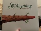 Say Anything - Is A Real Boy - 2lp Black Vinyl Great Condition.