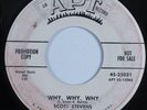 Doo Wop 45 SCOTT STEVENS Why, Why, Why APT promo HEAR