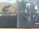 LINKIN PARK  Meteora Double LP + Living Things LP Vinyl