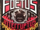 Foetus Intrerruptus Thaw Uk Lp EXCELLENT NM