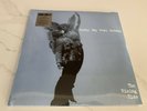 NEW Sunny Day Real Estate 