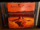 Alice in Chains - Dirt (Music on Vinyl Pressing) - NM