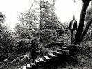 Timber Timbre-Timber Timbre (UK IMPORT) VINYL NEW