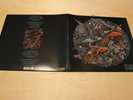 Scale The Summit Subjects Green Splatter Vinyl 2LP Used /250