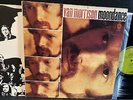 VAN MORRISON / MOONDANCE 1970 green label WB 1A/1A 1835 looks EX+ plays NM