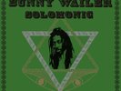 Bunny Wailer - Solomonic Singles Volume 2 Rise and Shine 2 LP SEALED Japan