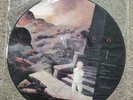 Oingo Boingo - Dark At The End Of The Tunnel - Promo Rare picture disc record