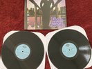 Too $hort - Get In Where You Fit In Vinyl Record LP RSD RARE Too Short explicit