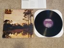 Starlite Walker by Silver Jews Vinyl, Oct-1994 Drag City OG Press LP, Pavement