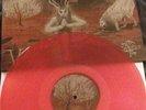 Baptism V:The Devil's Fire LP Watain Sargiest Darkthrone Bathory Behexen Mgla