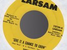 Orig TOPPIKS Surrender / Give It A Chance To Grow 45 Larsam Private Sweet Soul