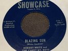 RARE BLUEGRASS 45 Robert White and The Candy Mt, Boys WILEY'S RIDE VG++ SHOWCASE