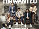 The Wanted : Most Wanted: The Greatest Hits VINYL 12