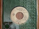 The Time – Jungle Love 