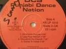 DCS - Punjabi Dance Nation   VINYL LP - INDIAN