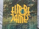 ELMORE JAMES  TO KNOW A MAN DOUBLE ALBUM  BLUE HORIZON 1969 1st Pressing