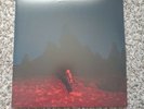 Phoebe Bridgers Punisher red swirly merlot vinyl LP, indie rock, boygenius