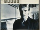 Sting Dream Of The Blue Turtle Original UK Vinyl Issue