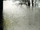 Bon Iver: For Emma Forever Ago :LP vinyl *BRAND NEW*:
