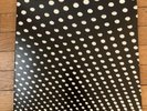 beach house bloom vinyl
