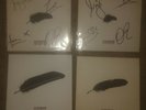 Kasabian Re-wired Days are Forgotten signed vinyl Goodbye Kiss Simple Pleasures