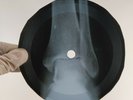 JIMI HENDRIX AINT NO TELLING X-Ray USSR Record Roentgen Bones Ribs Music Vinyl