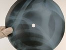 FITZGERALD HOW HIGH THE MOON X-Ray USSR Record Roentgen Bones Ribs Music Vinyl