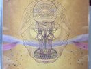 DEVENDRA BANHART 12