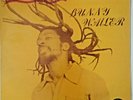 Bunny Wailer , Rock N Groove ,1981,Vinyl Lp , NM