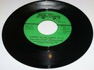 East coast connection US New Directions 45 Summer in the parks