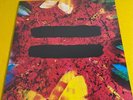 Ed Sheeran Equals = Recycled Version Vinyl New