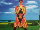 Earthling - David Bowie (Vinyl) Music on Vinyl MOVLP815 NM OOP
