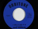 Funk/Deep Soul 45 - David Robinson - I Like It Like It Is - Orbitone - VG+ mp3