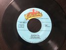 Don Mclean Collectables 45 Vinyl Record. American Pie And Vincent. Hard To Find