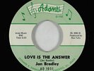 Northern Soul 45 - Jan Bradley - Love Is The Answer - Adanti - VG+ mp3