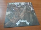 Tormentor ?– Anno Domini –-  lp'  - Black Metal,--repress