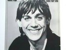 Iggy Pop - Lust for Life - RCA  AFL1 2488 - Vinyl L.P. Record - 1977