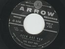 ROCKABILLY - RAV'ONS - TEEN AGE HOP -  GUITAR BREAK ROCKER - HEAR 1958 ARROW