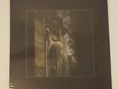 Dead Can Dance, Within the Realm of a Dying Sun, 2009 Vinyl 180 Gr New, No Logo