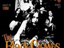The Black Crowes: Live in Atlantic City, August 24 1990 12