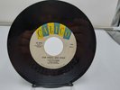 The Skyliners 