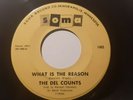 1967 45 THE DEL COUNTS What Is The Reason / With Another Guy  M-  MINNEAPOLIS
